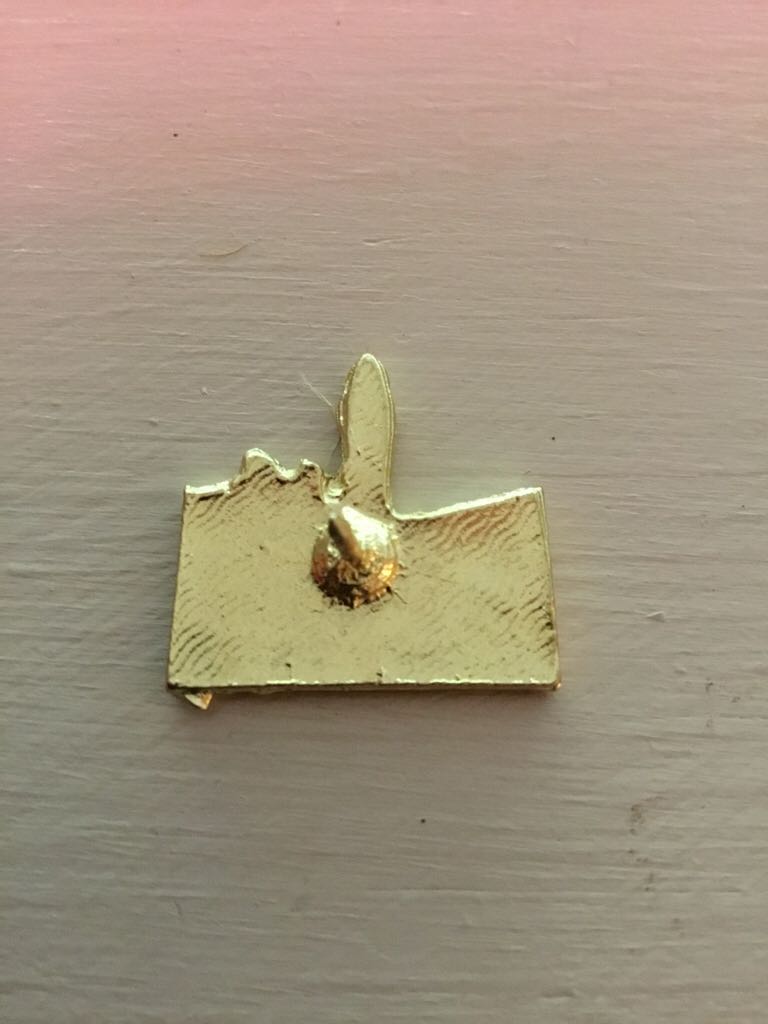 Siena  pin collectible - Main Image 2