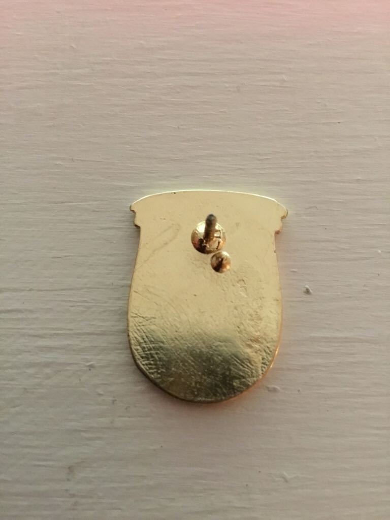 Veritas  pin collectible - Main Image 2
