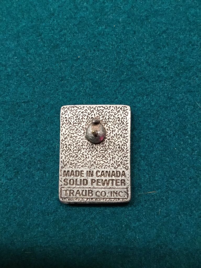 Vietnam Memorial  pin collectible - Main Image 2