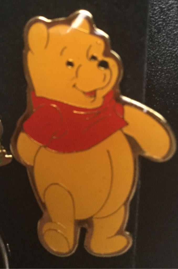 2015 Kyle Busch Championship