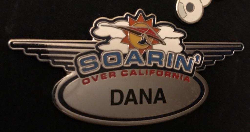 Mystery Pins - Grins