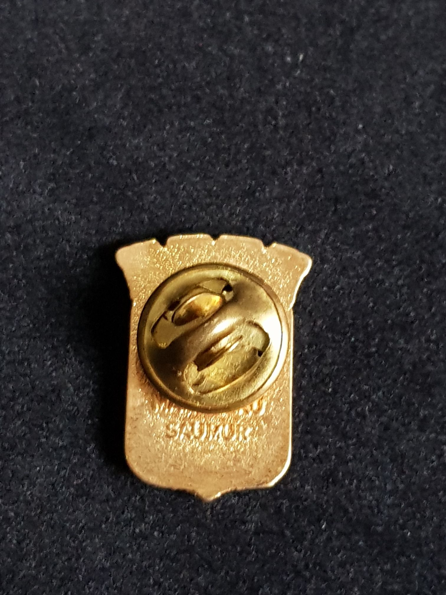 Chamonix Mont Blanc - Europe pin collectible - Main Image 2