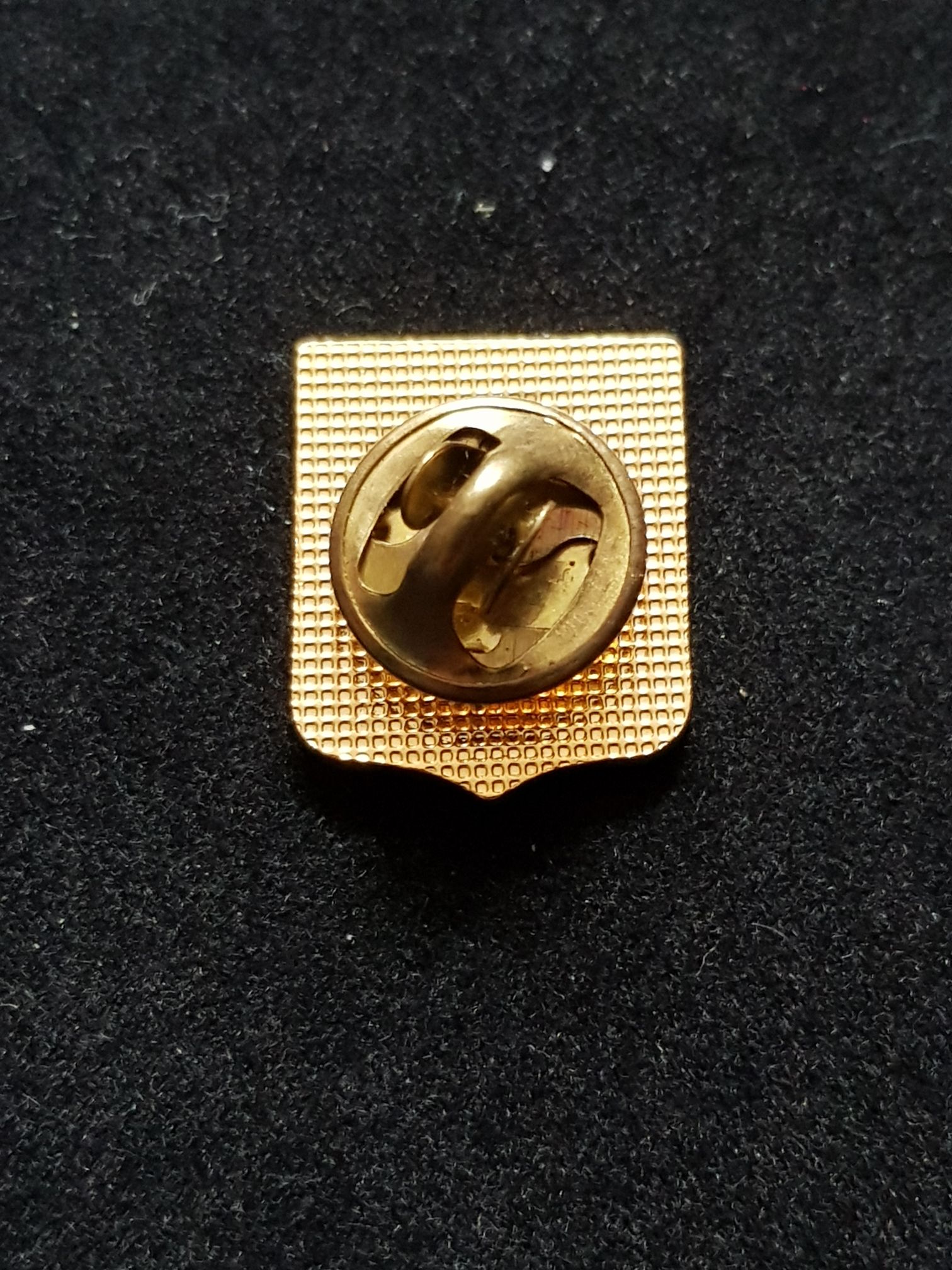 Geneve - Pin pin collectible - Main Image 2