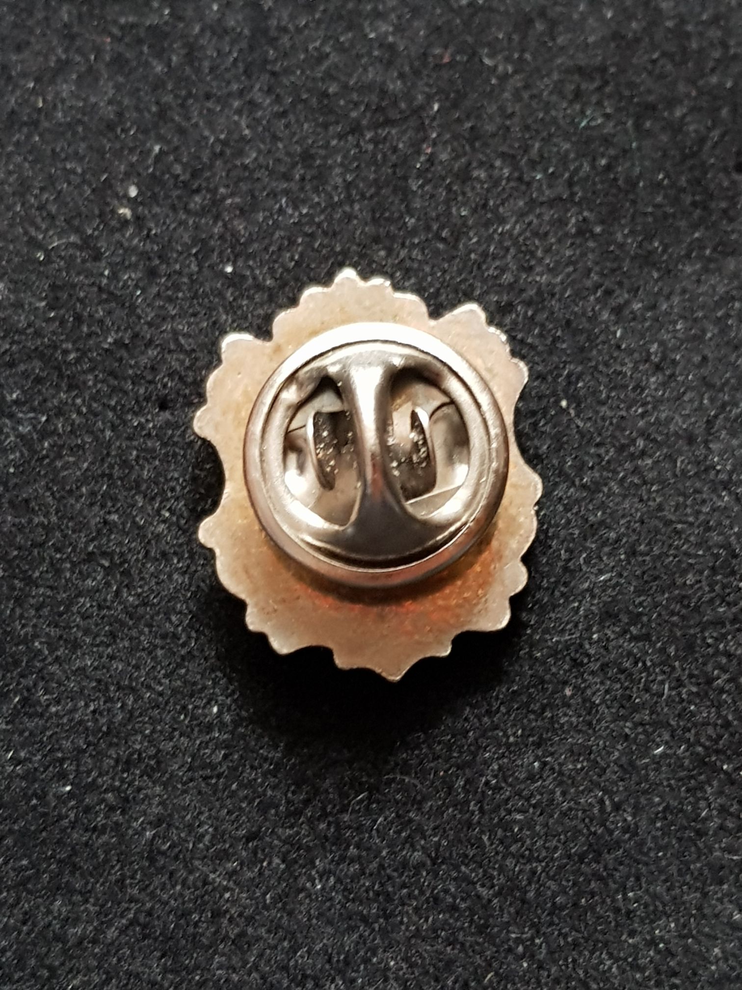 Bern - Pin pin collectible - Main Image 2