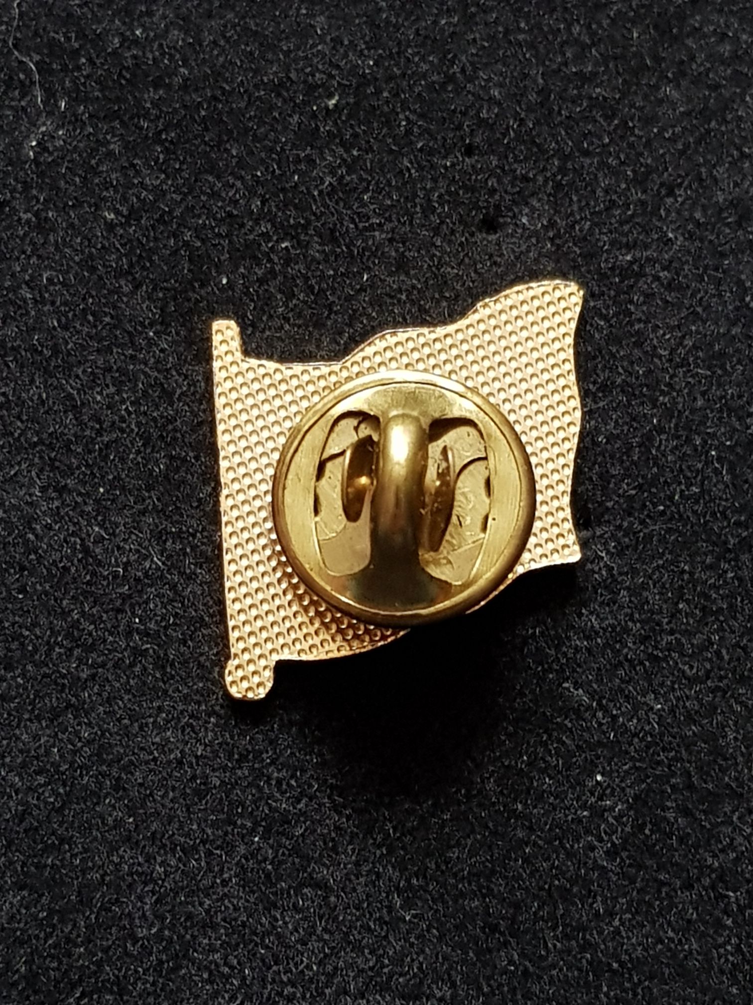 Holland Flag - Pin pin collectible - Main Image 2
