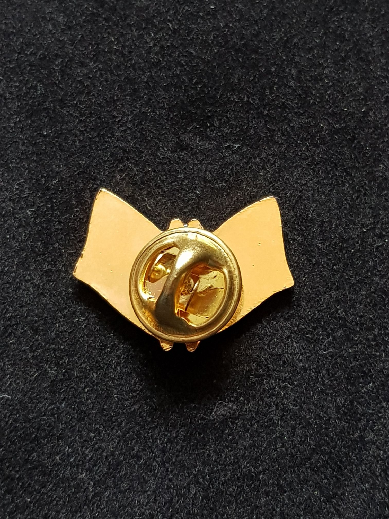 Flag of Belgium and European flag - Pin pin collectible - Main Image 2