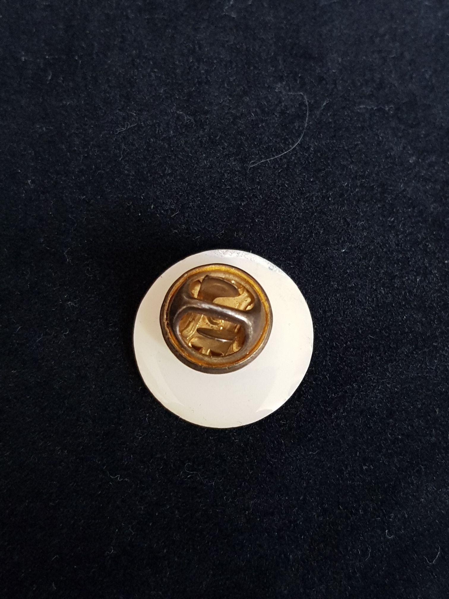 Our Lady of Fatima - Pin pin collectible - Main Image 2