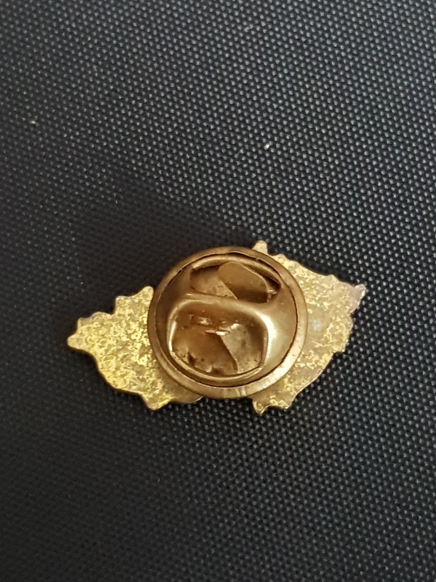 Czech Republic  pin collectible - Main Image 2