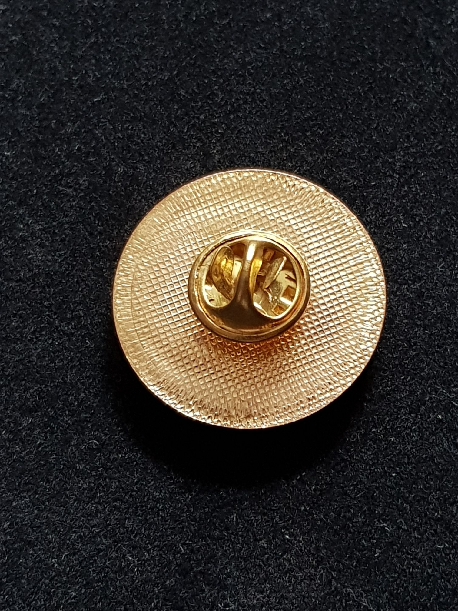 Petra ( Jordan )  pin collectible - Main Image 2