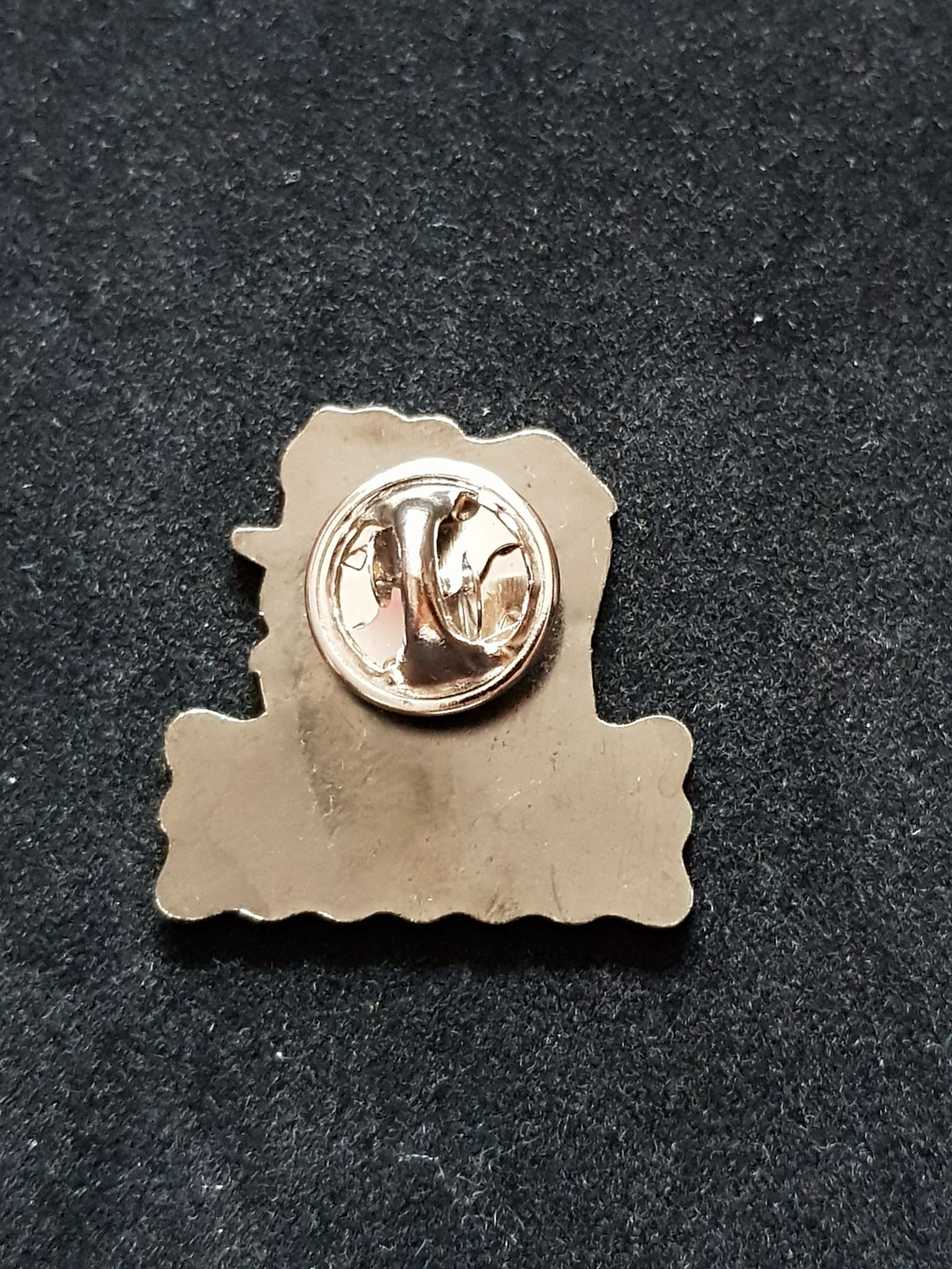 Sri Lanka Pinnawala  pin collectible - Main Image 2