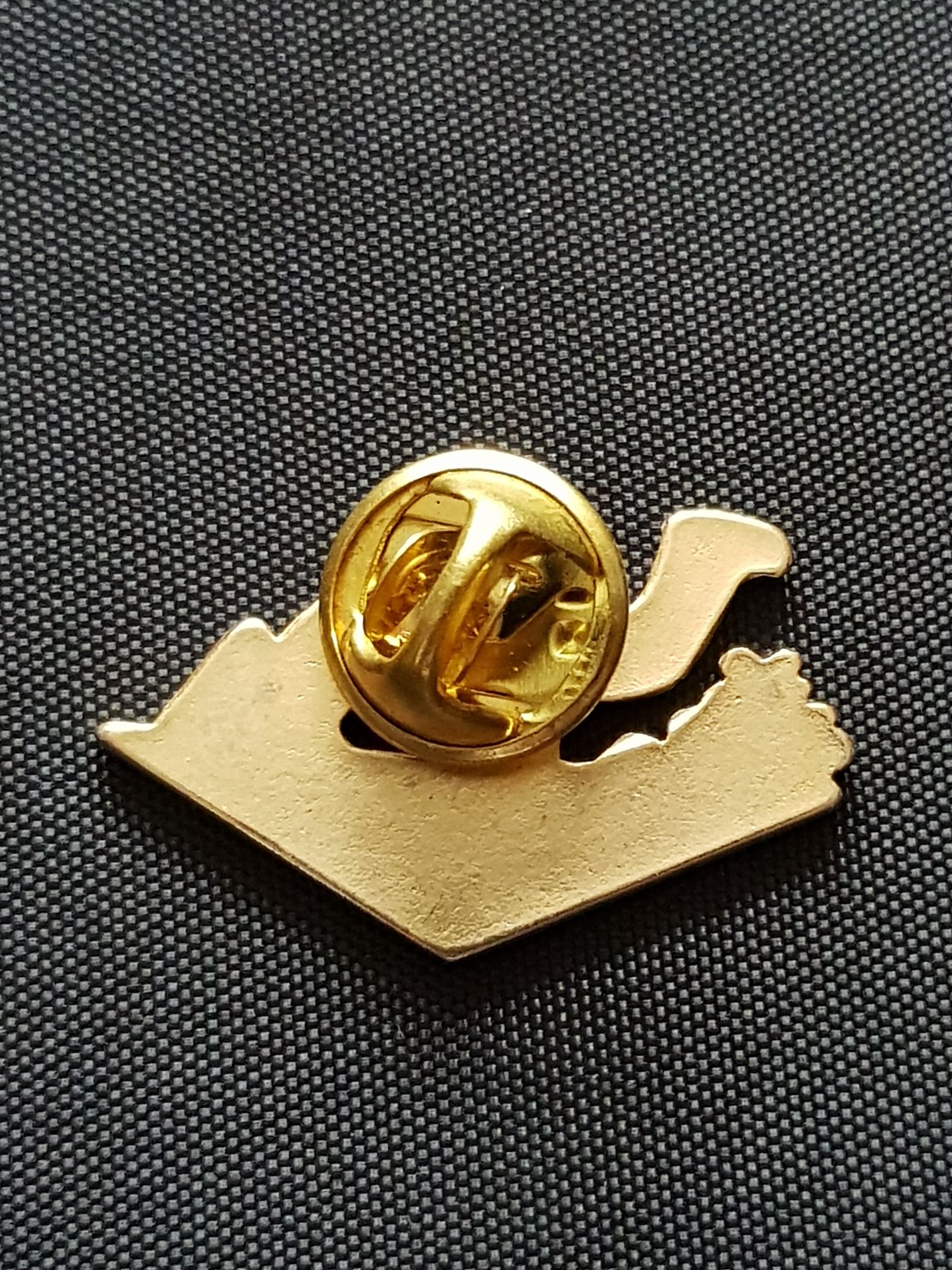 Israel Camel  pin collectible - Main Image 2