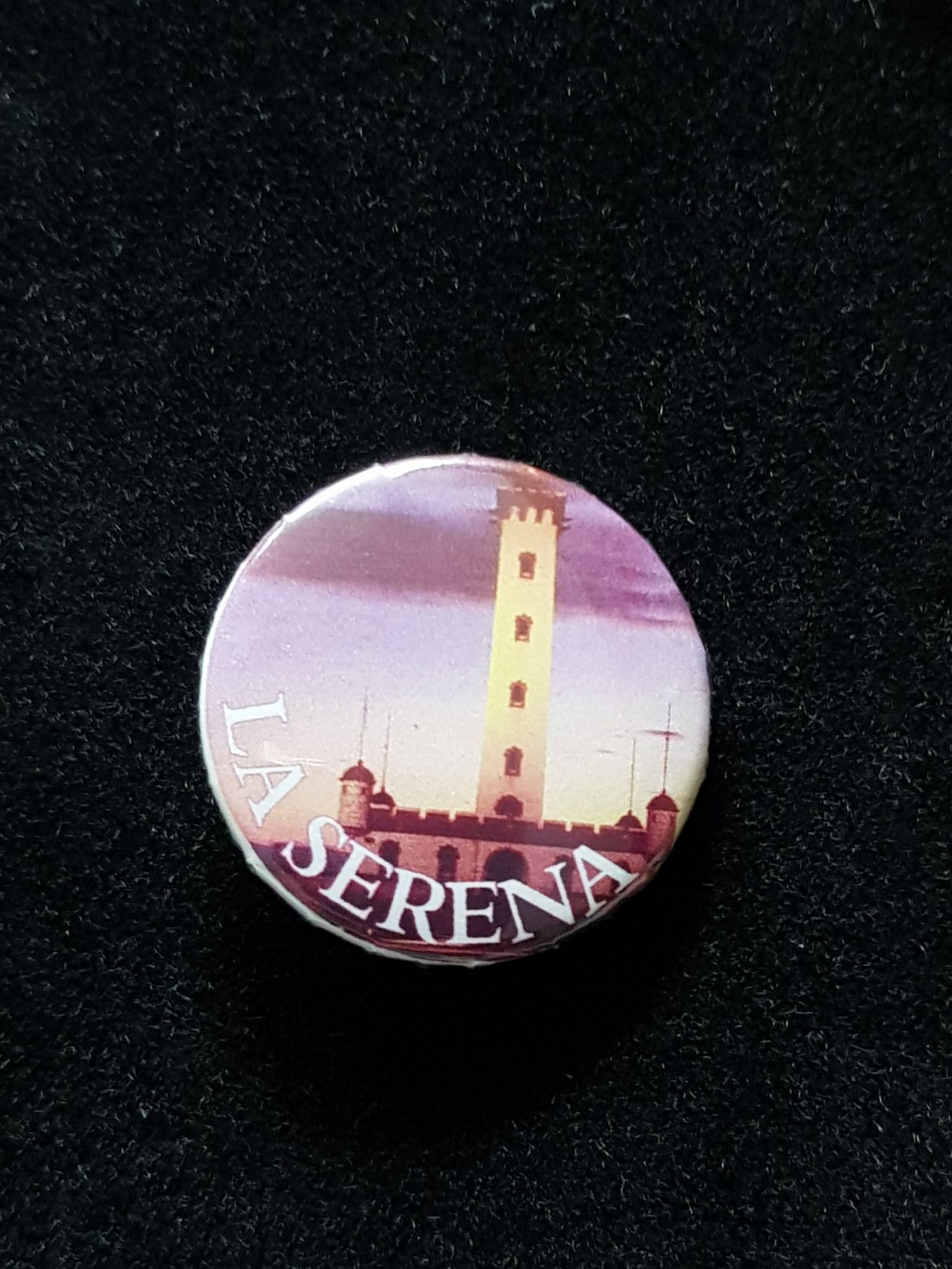 Great Smokey Mountains National Park Elk