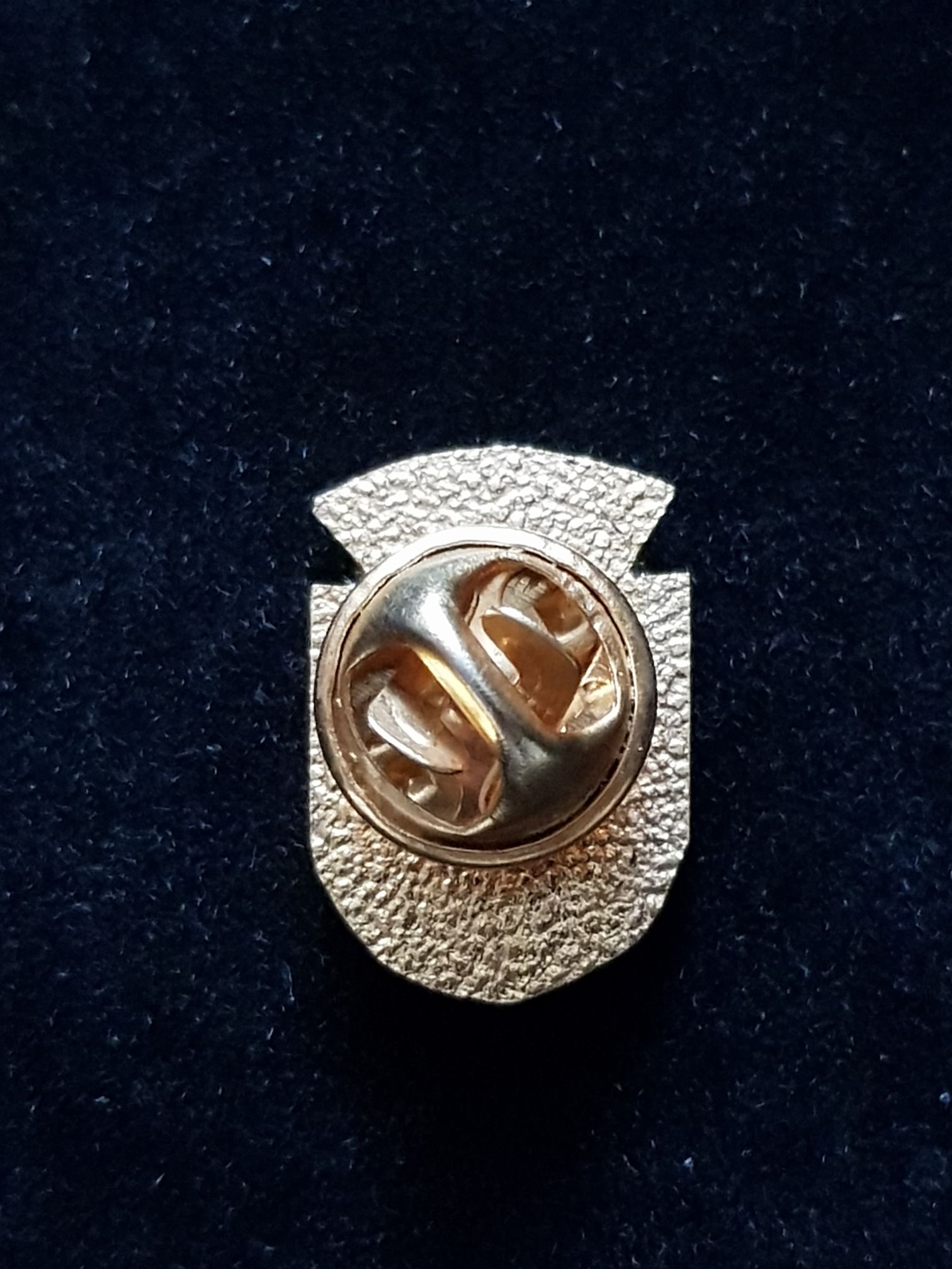 Chile Puerto Varas  pin collectible - Main Image 2