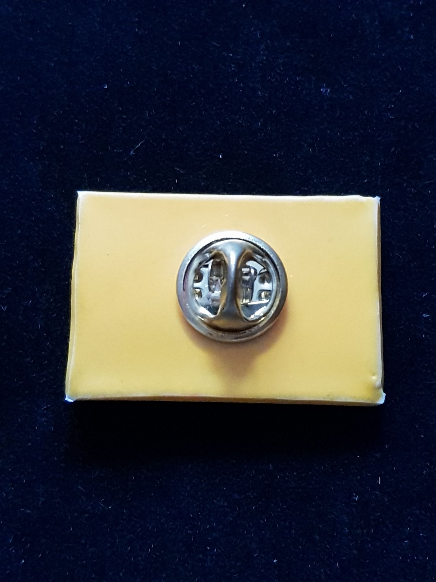 Region of Magallanes and the Chilean Antartica  pin collectible - Main Image 2