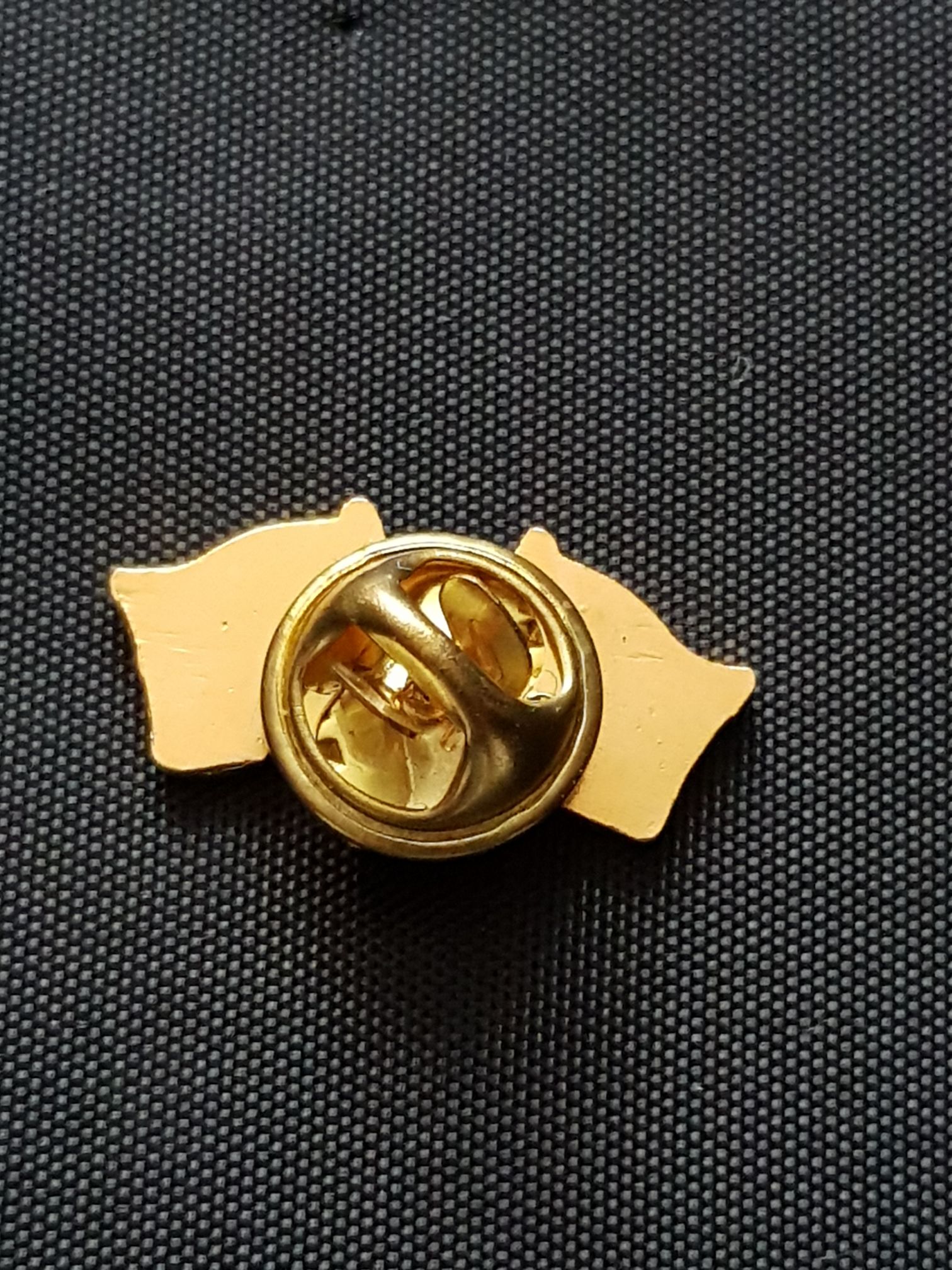 Brazil  pin collectible - Main Image 2