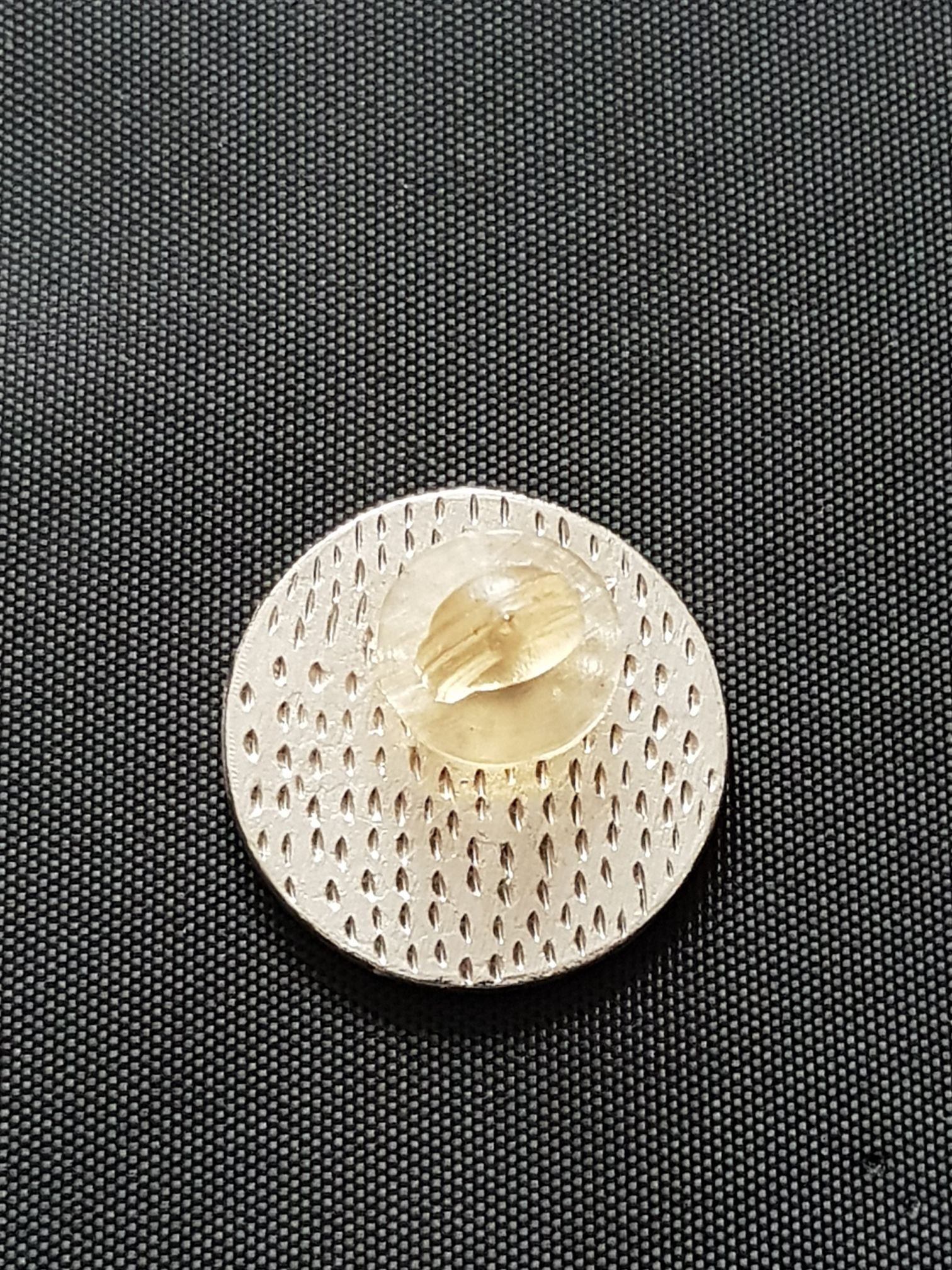 Argentina  pin collectible - Main Image 2