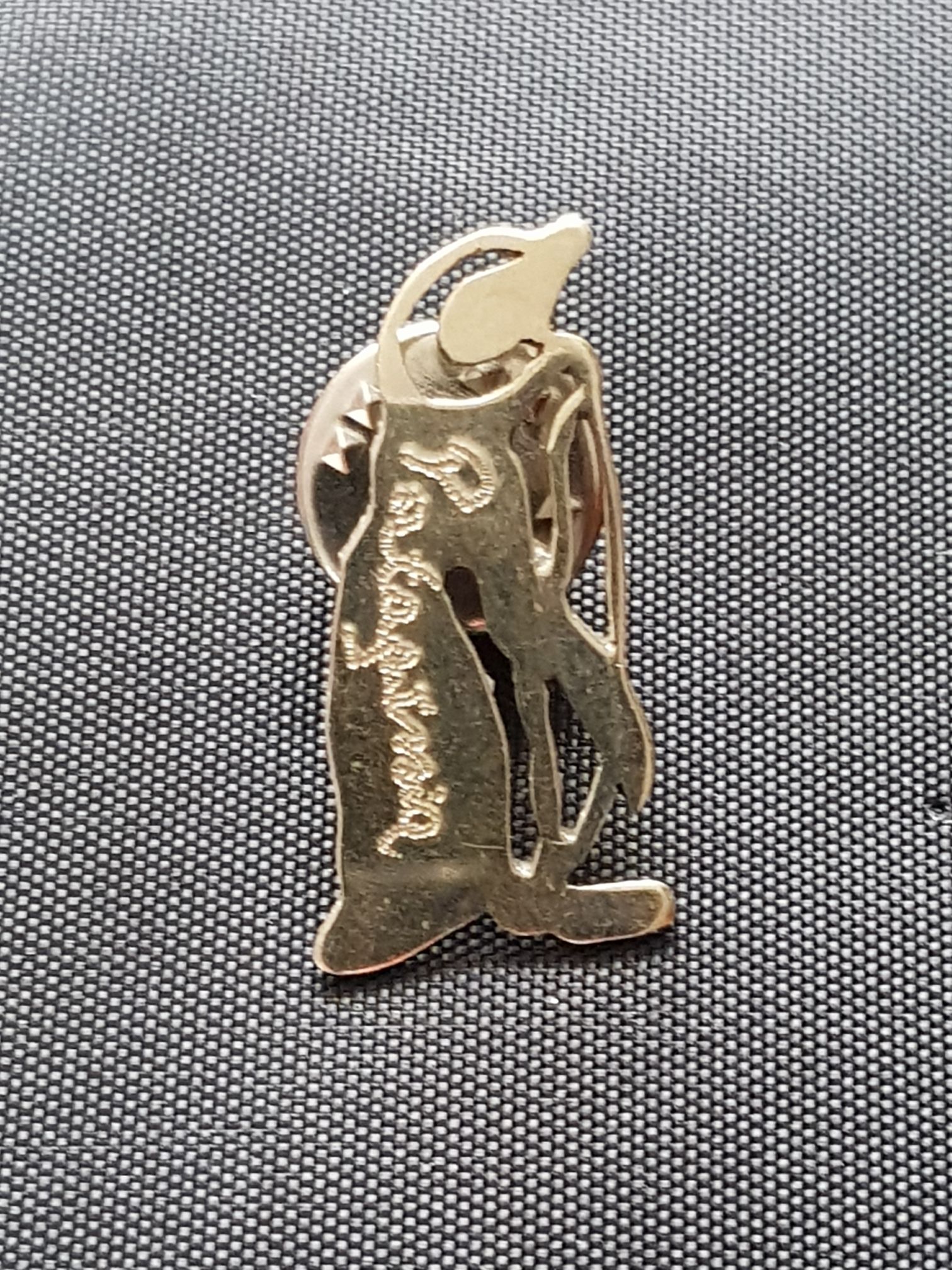 Pokémon: Mega Mawhile