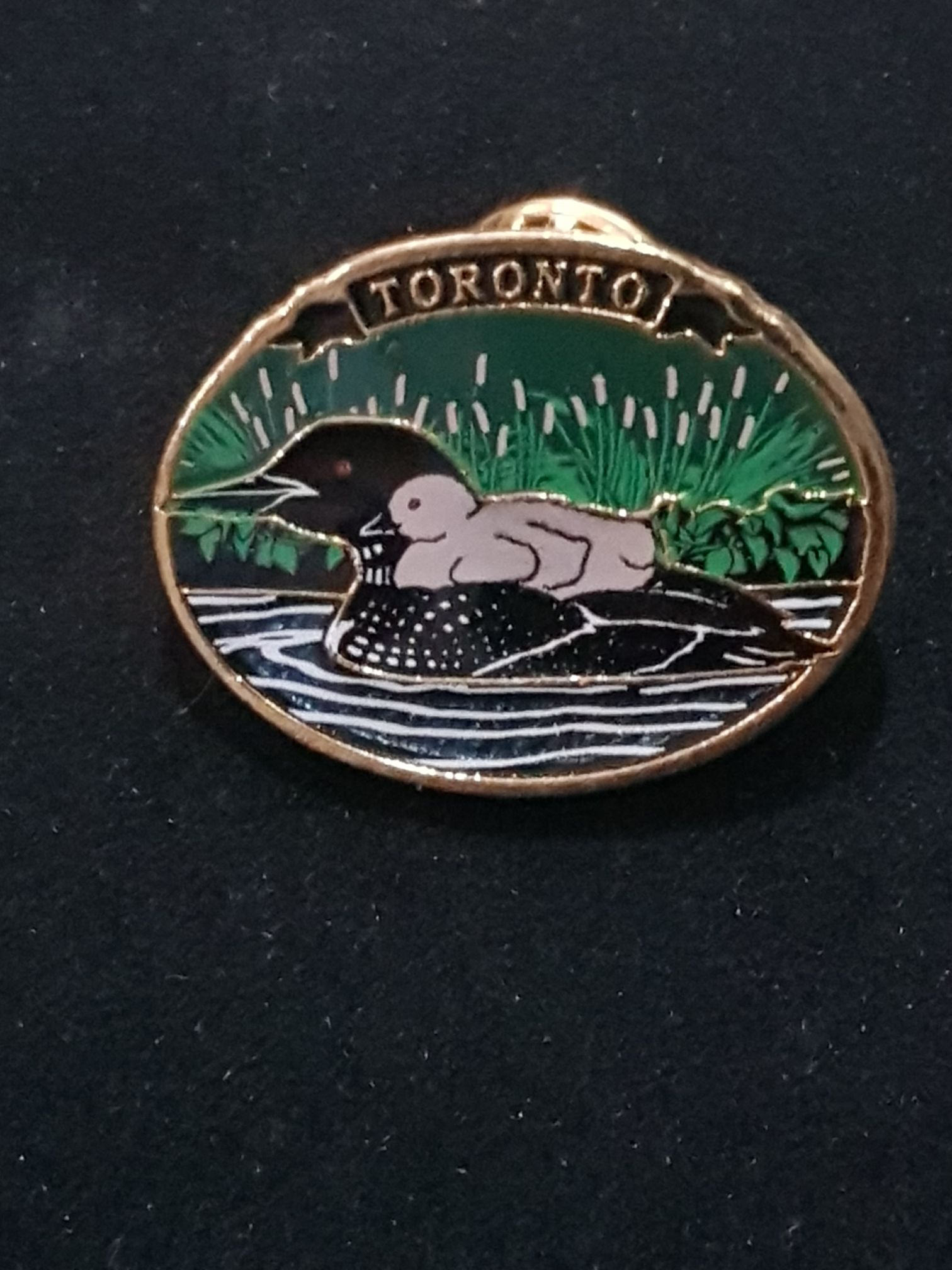 Dracula : The Dark Prince