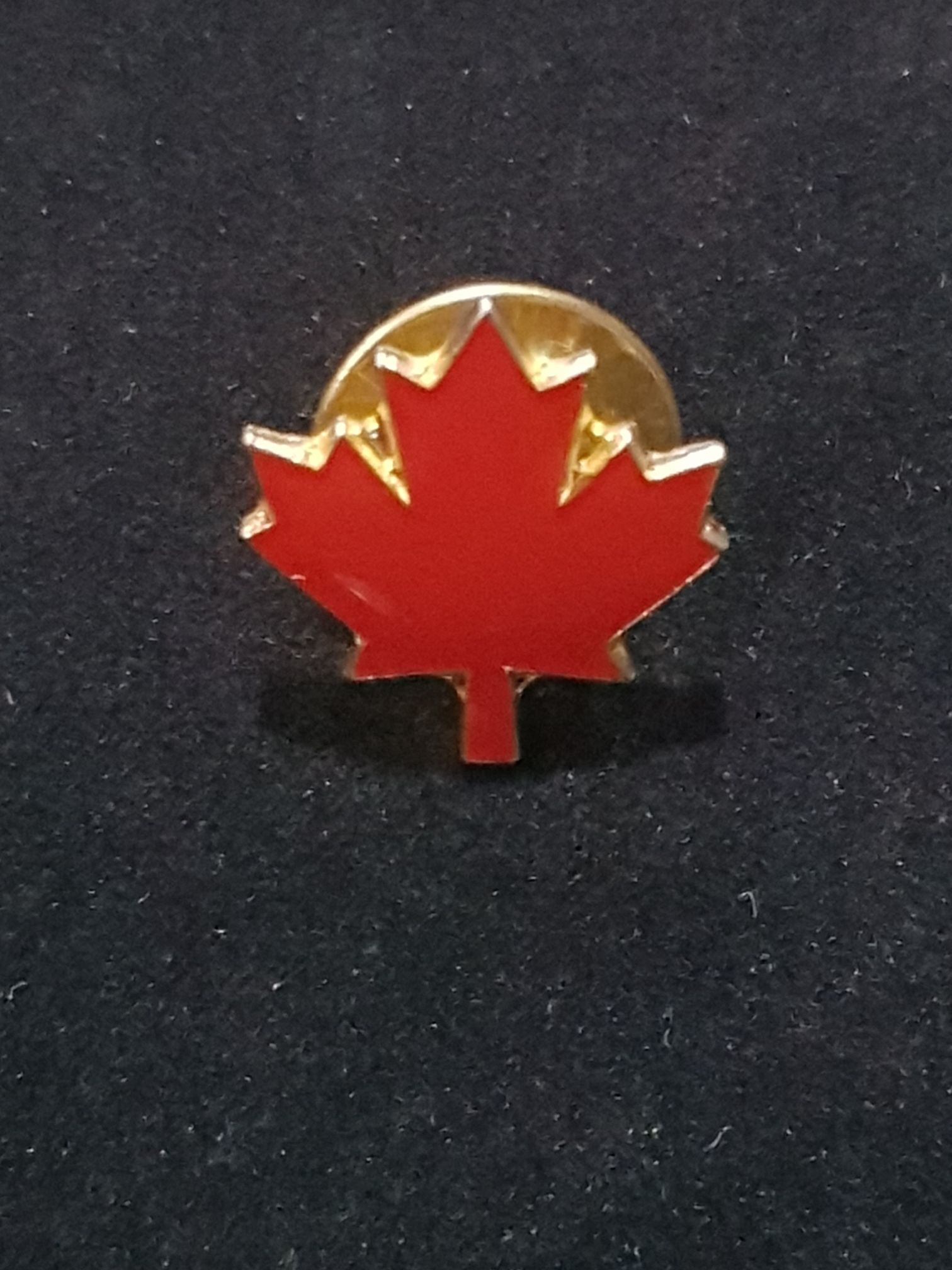 WDW Hidden Mickey Park Signs-Height Requirement 