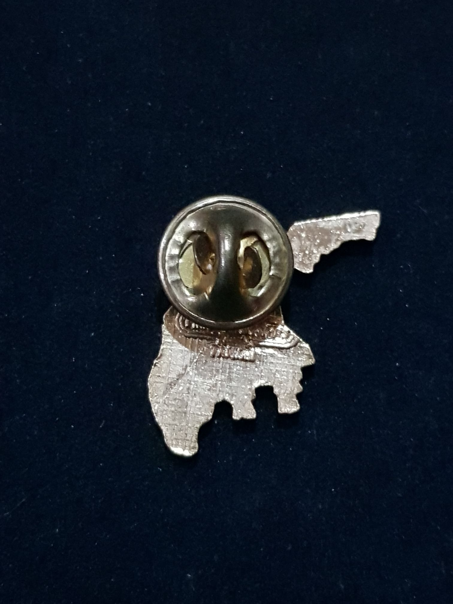 USA Florida  pin collectible - Main Image 2