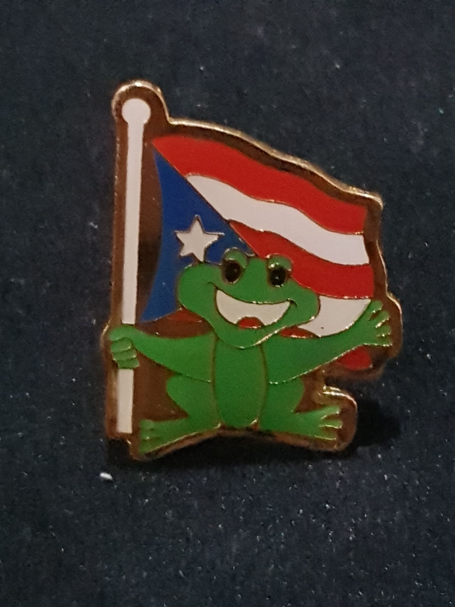 Harley Davidson, New Port Richey, FL