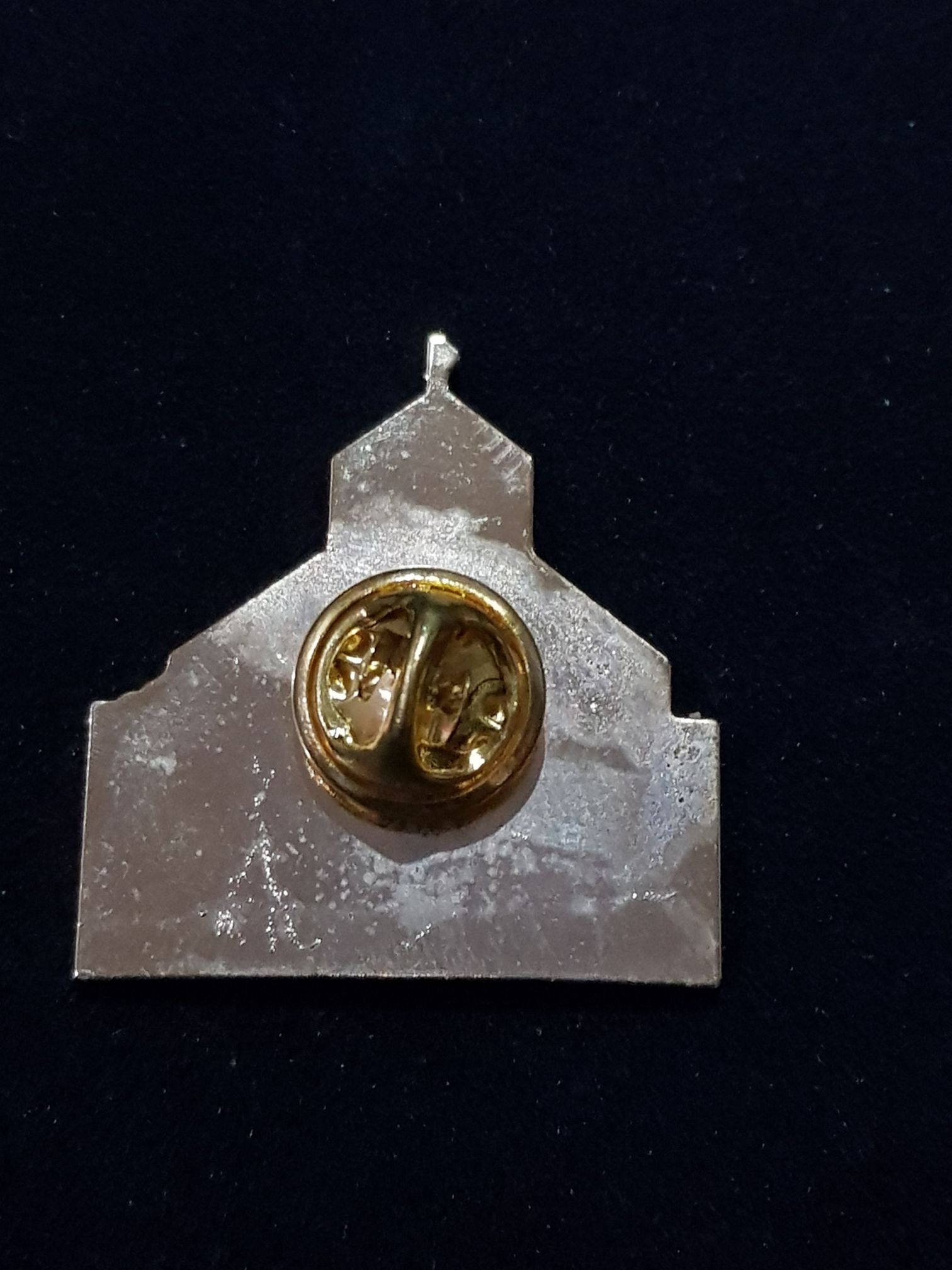 USA Texas  pin collectible - Main Image 2