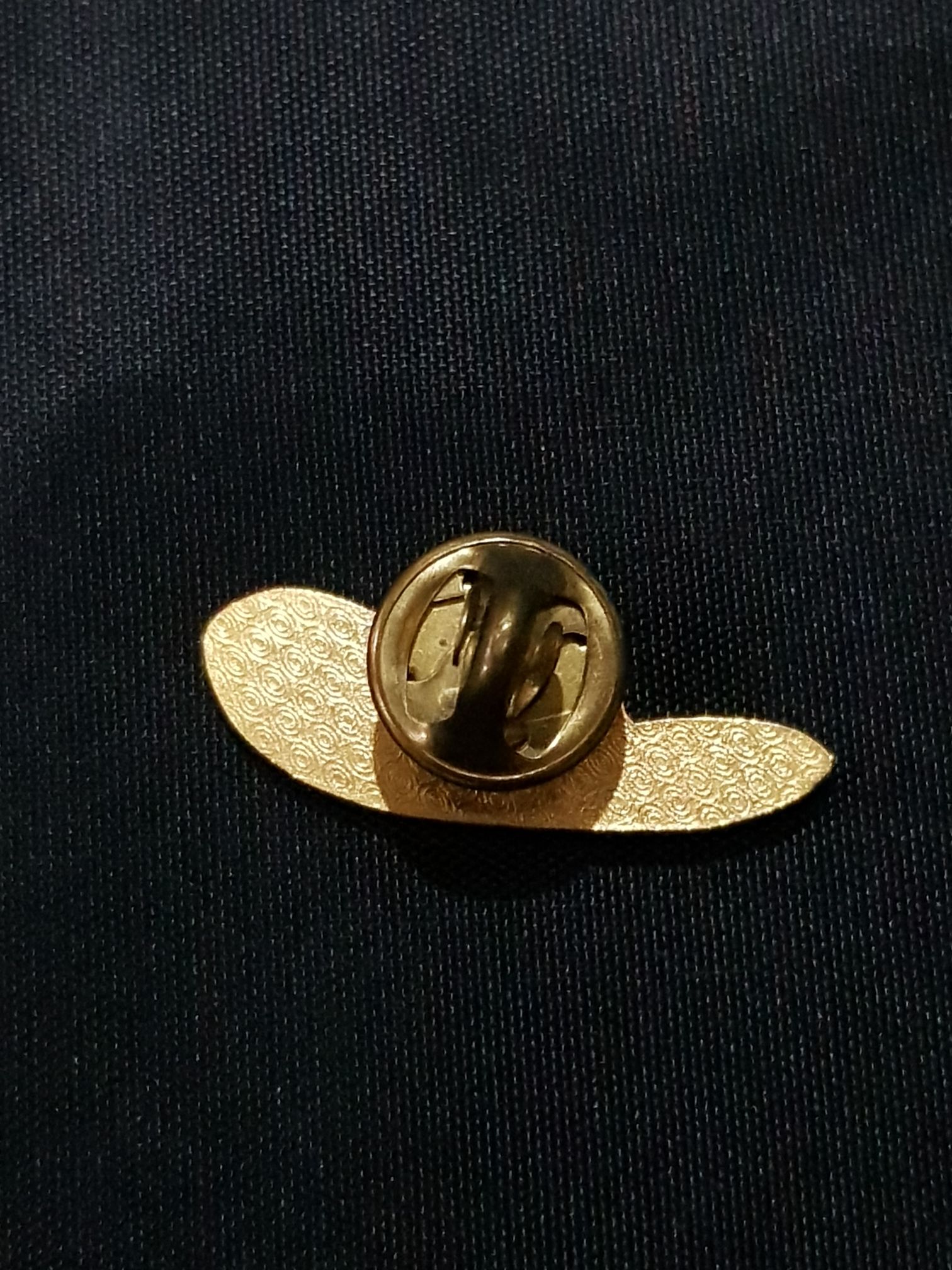 México Zacatecas  pin collectible - Main Image 2