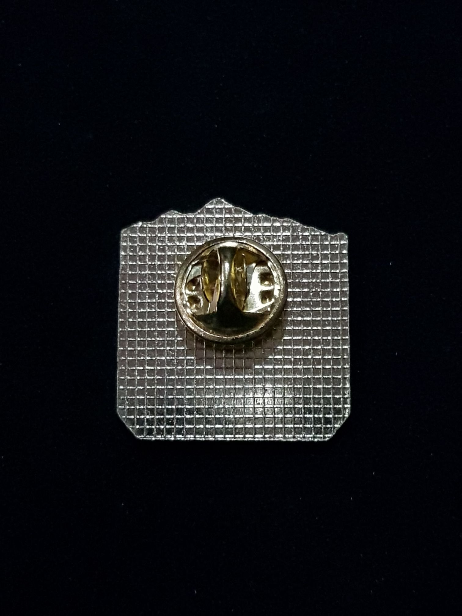 Alaska Sitka  pin collectible - Main Image 2