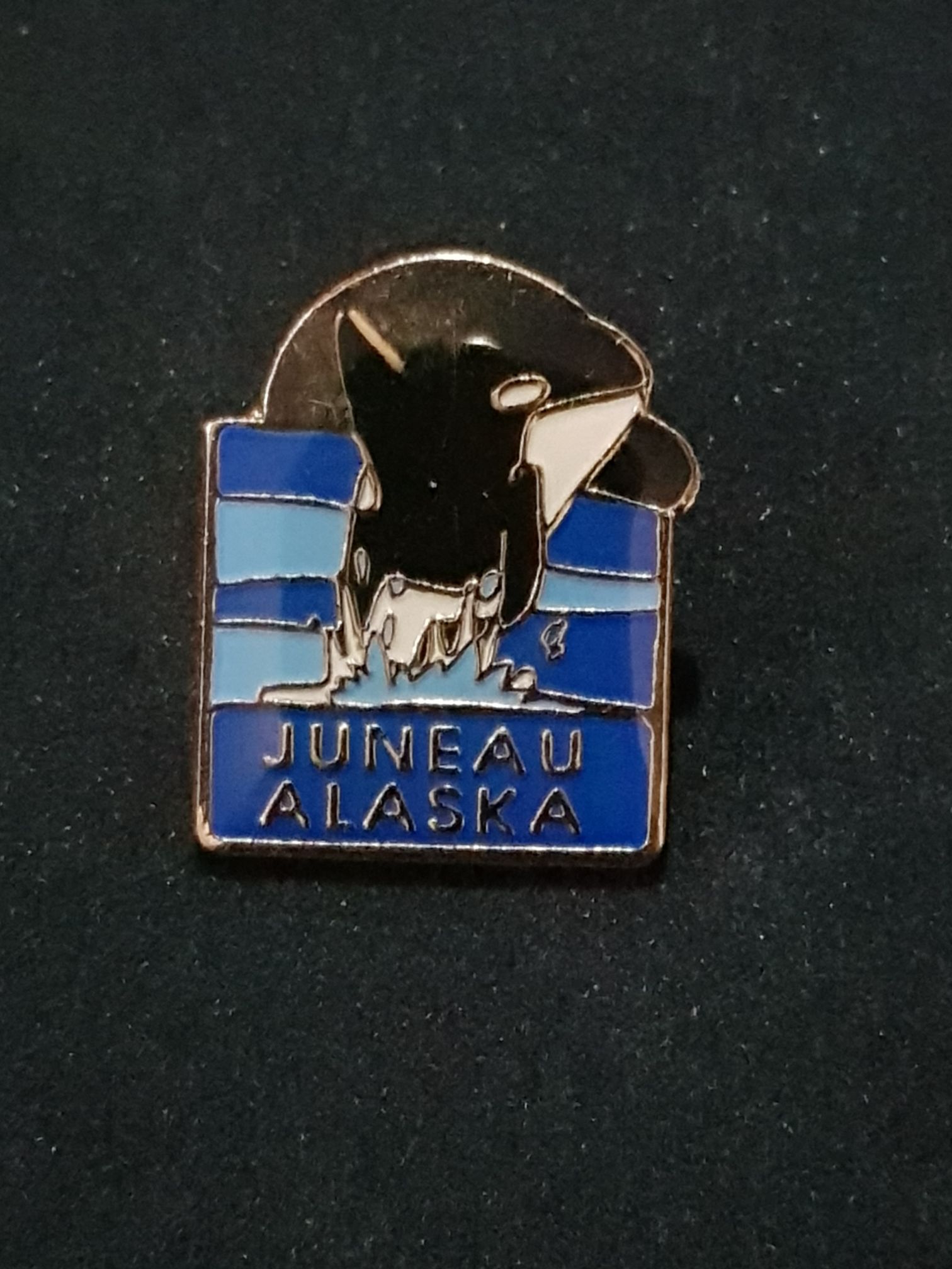 Alaska Juneau  pin collectible - Main Image 1