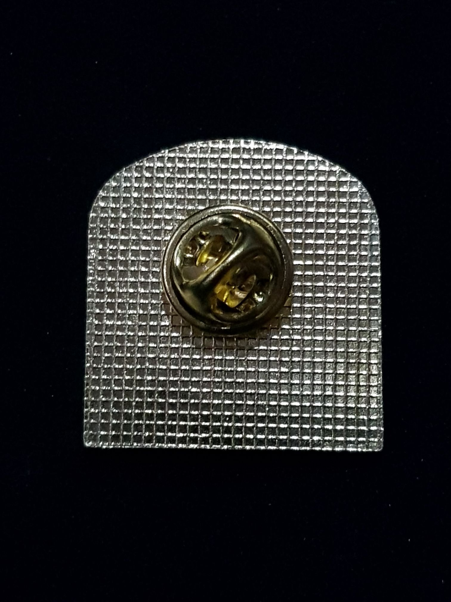 Alaska Mendenhall Glacier  pin collectible - Main Image 2