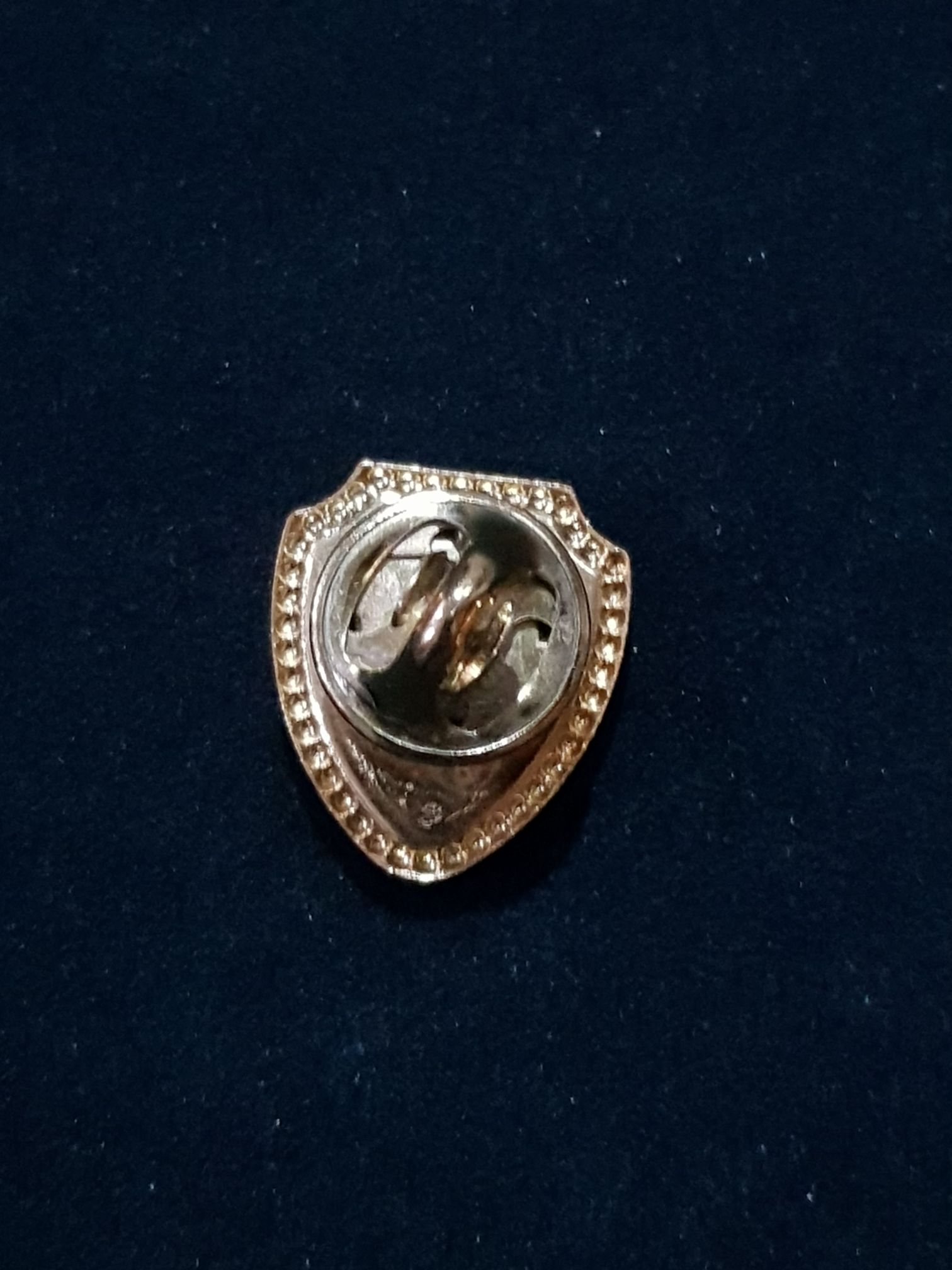 USA-Alaska Infinity  pin collectible - Main Image 2