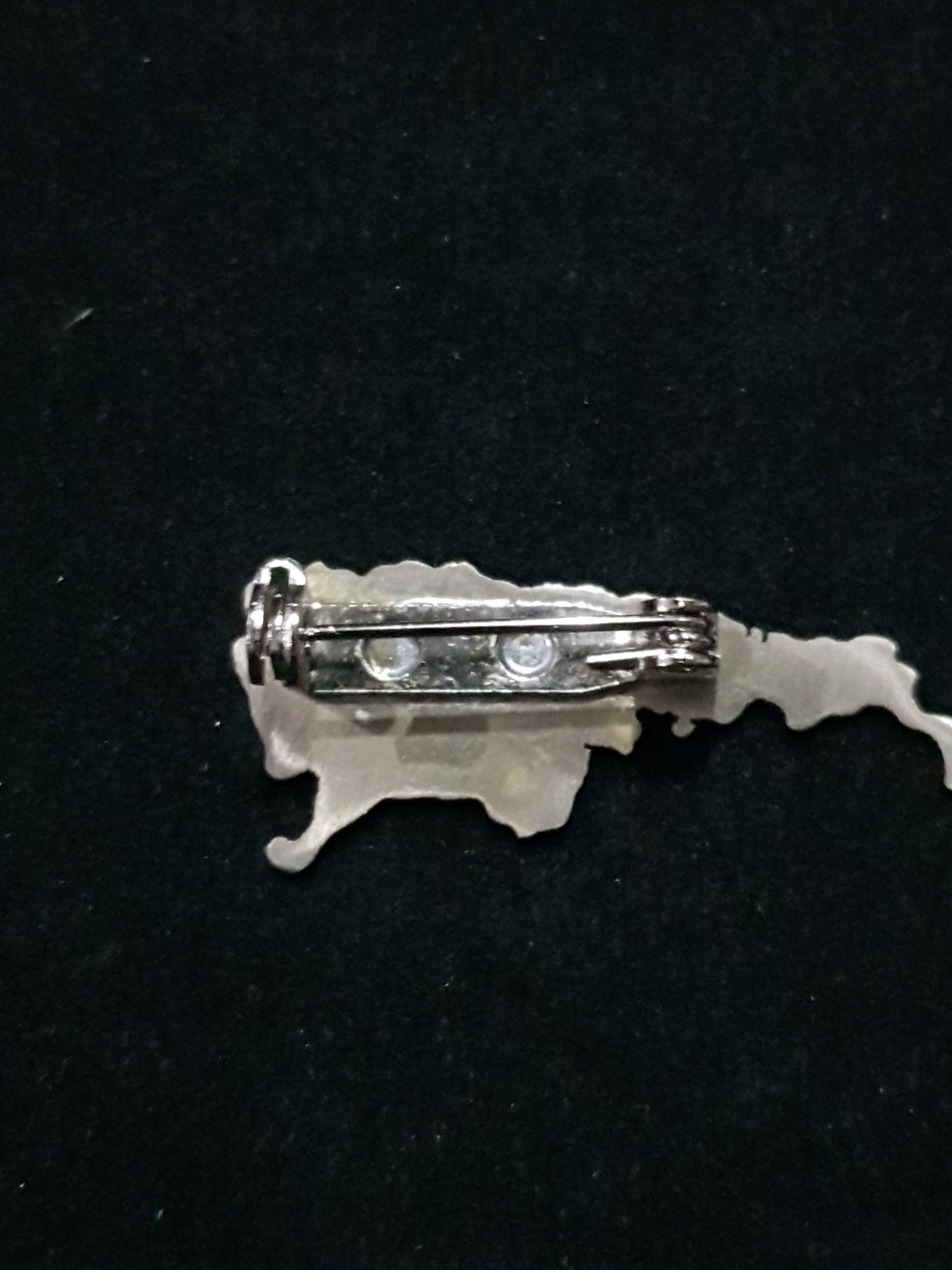 Patagonia  pin collectible - Main Image 2