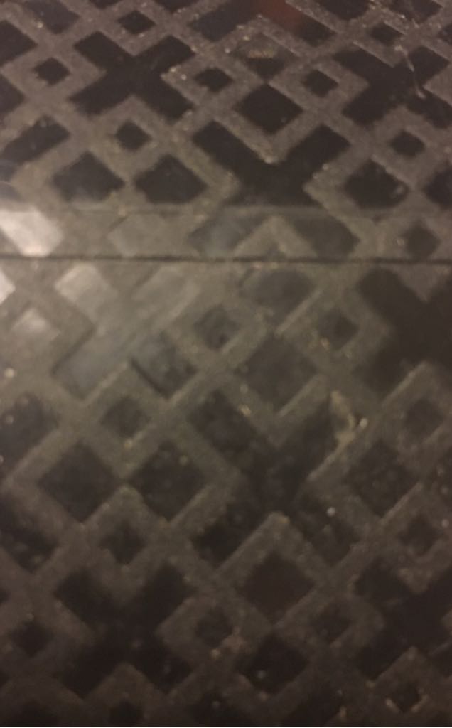 Pusheen Catacorn Moon