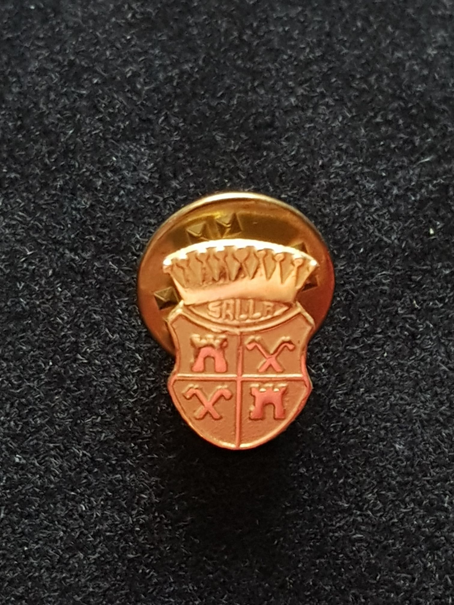 Ratatouille DLP- Remy