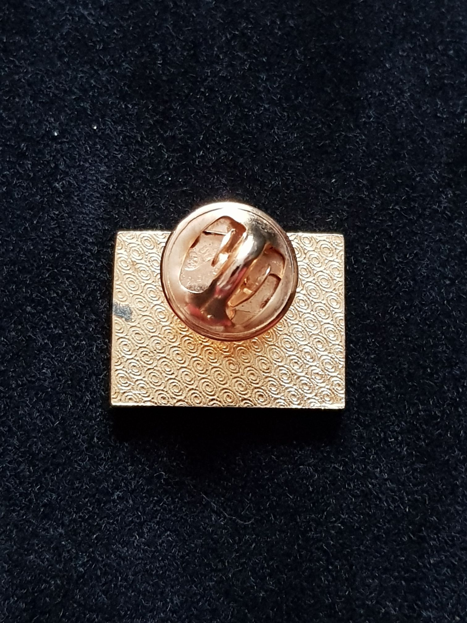 Bay Networks  pin collectible - Main Image 2