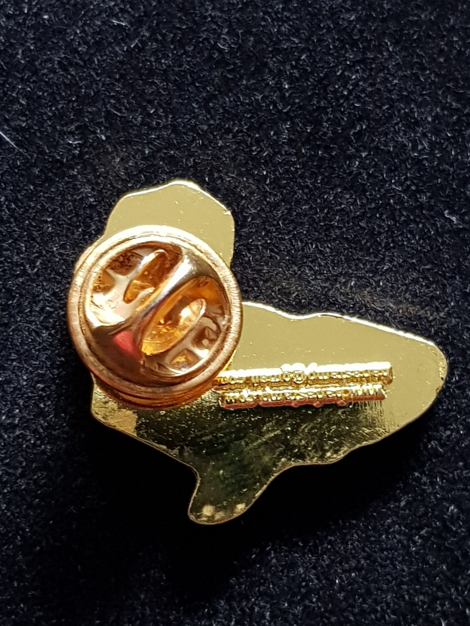 Africa  pin collectible - Main Image 2