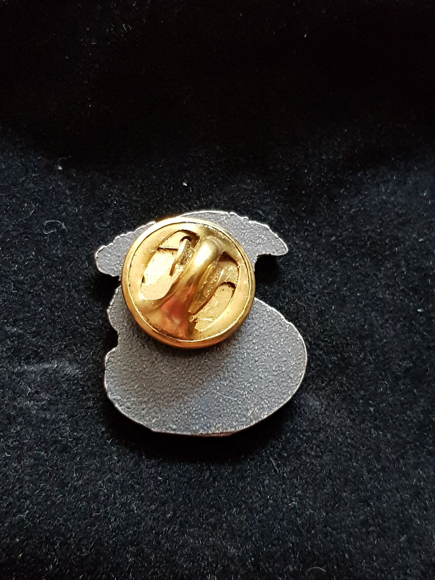 Slovenia Ljubljana  pin collectible - Main Image 2