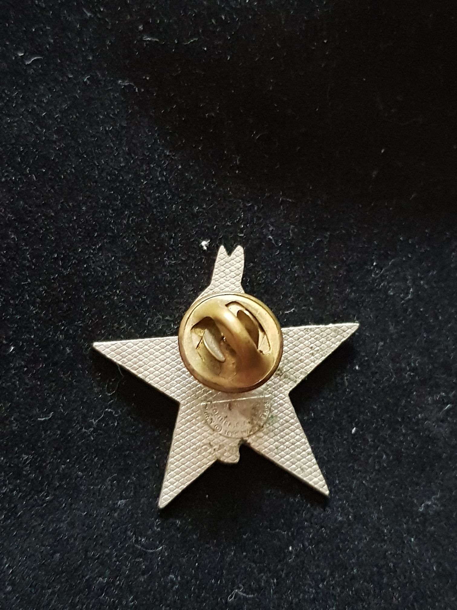 Buggs Bunny  pin collectible - Main Image 2