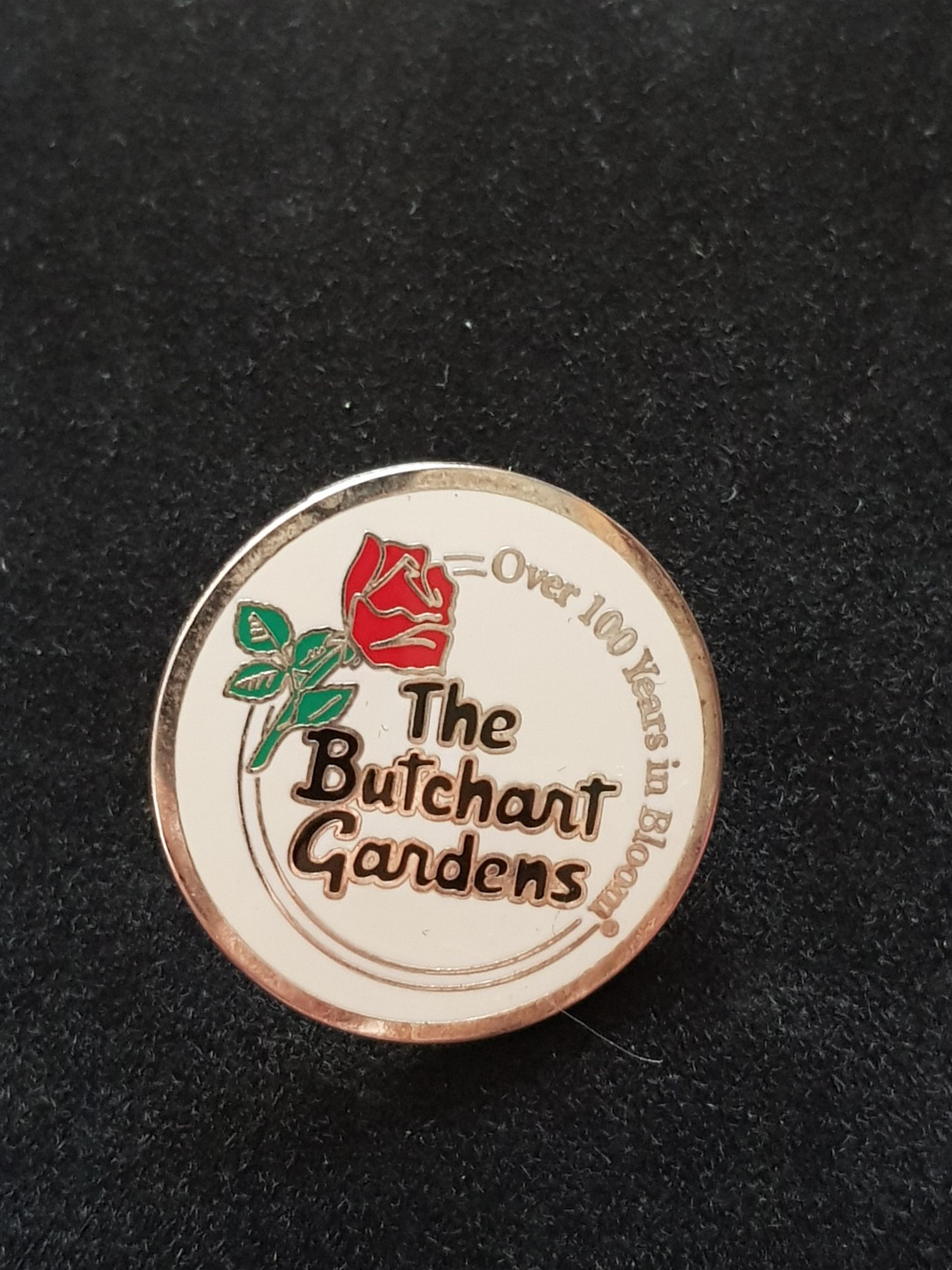 Oswald Expressions- Yelling