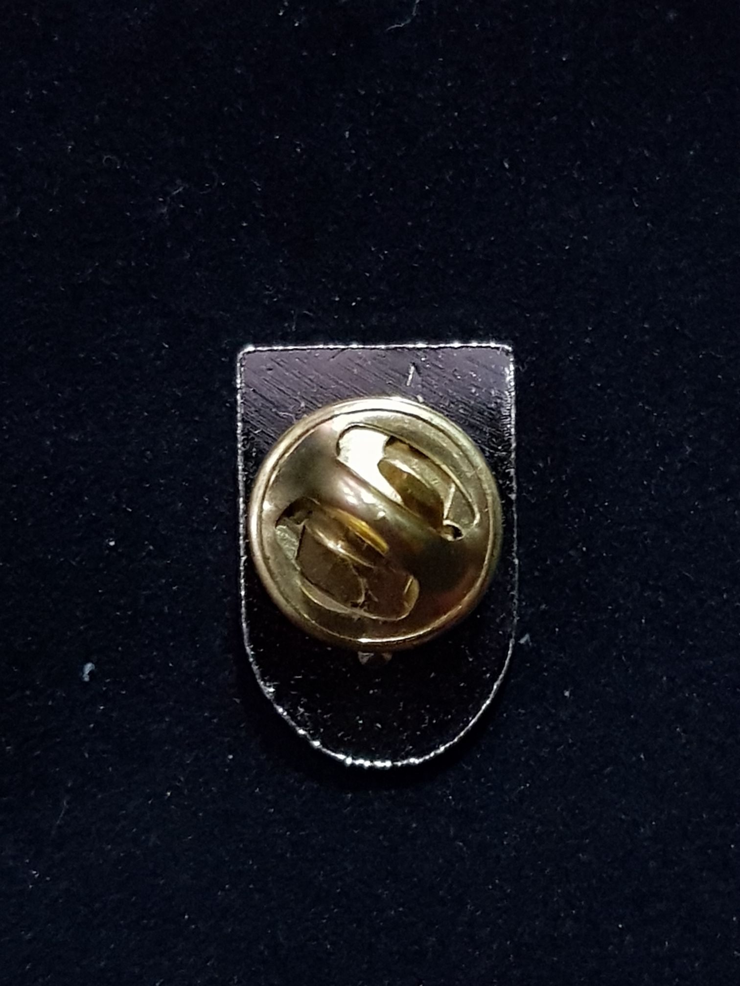 Bled  pin collectible - Main Image 2