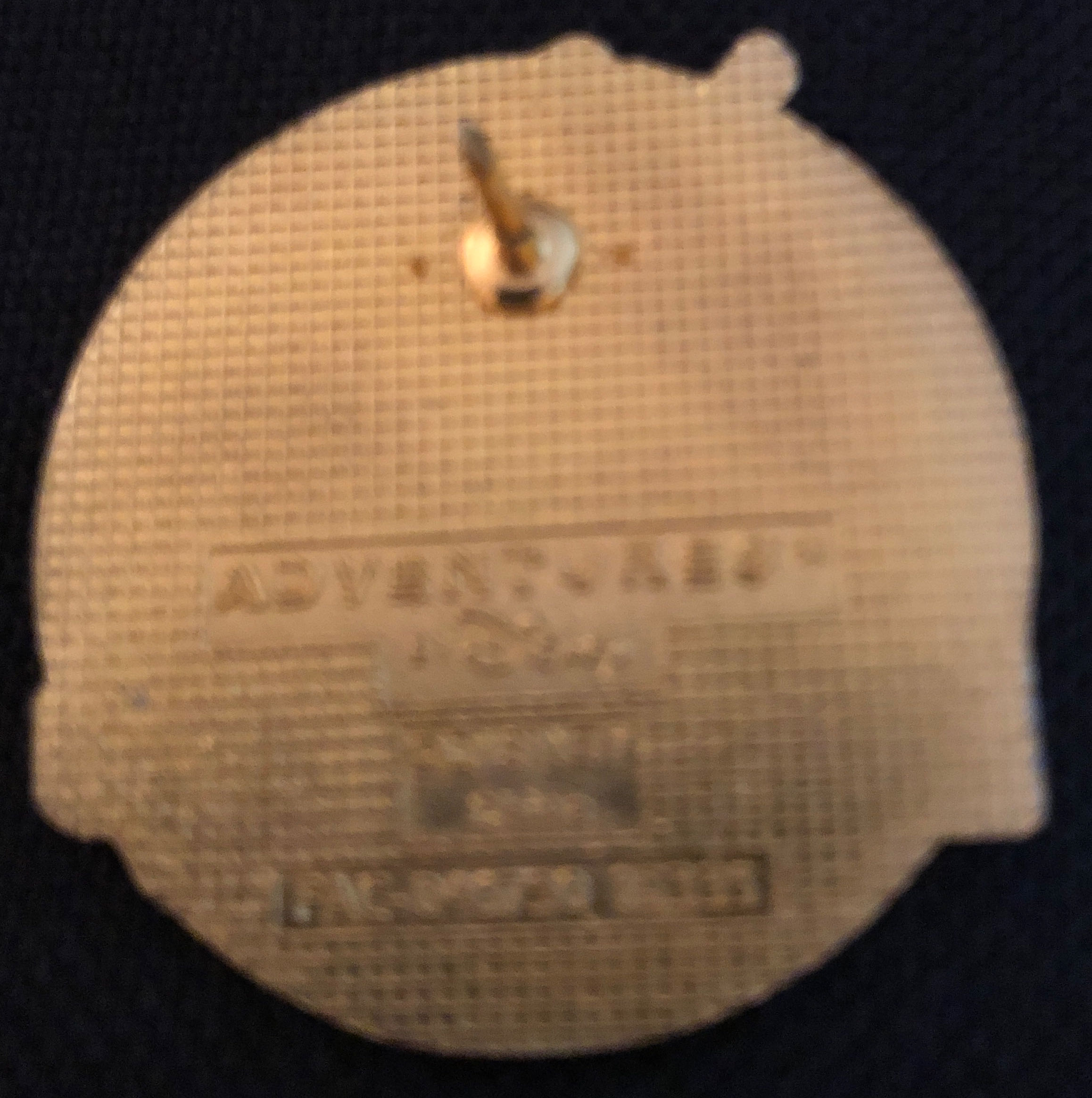 Family Heritage - Disney pin collectible - Main Image 2