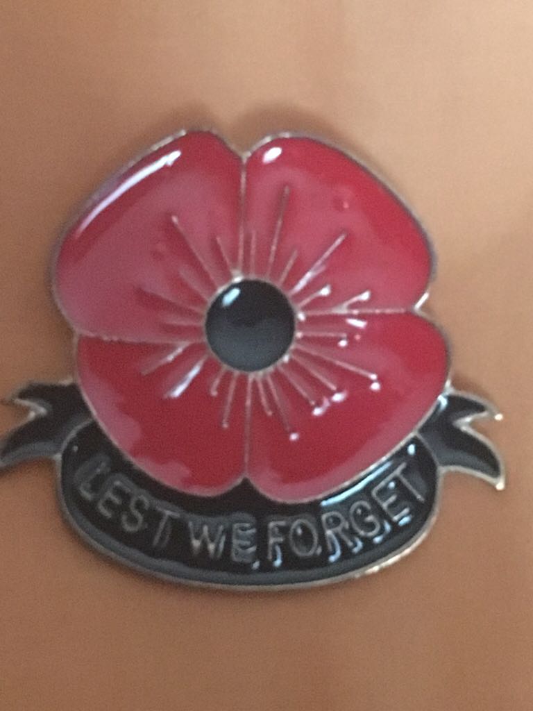 Disney Club Penguin- Mystery Series 2- Movie Director Peng