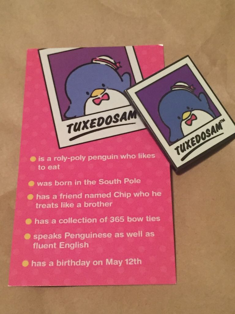 Lady  Character Earhat- Mystery Pack