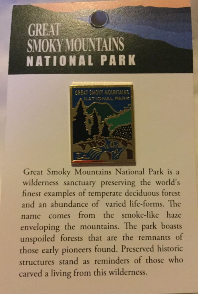 WDW- 2010 Hidden Mickey Brights Watches