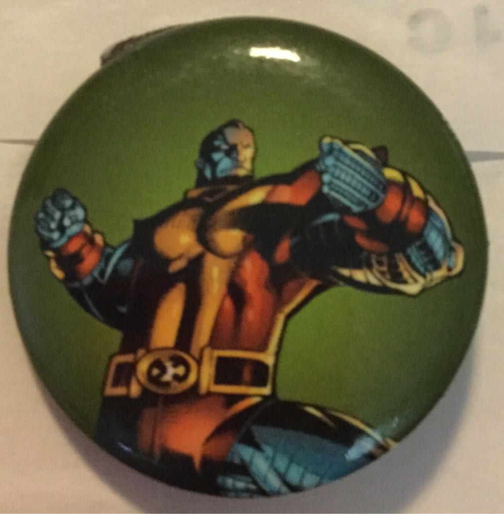 My Neighbor Tortoro Branch