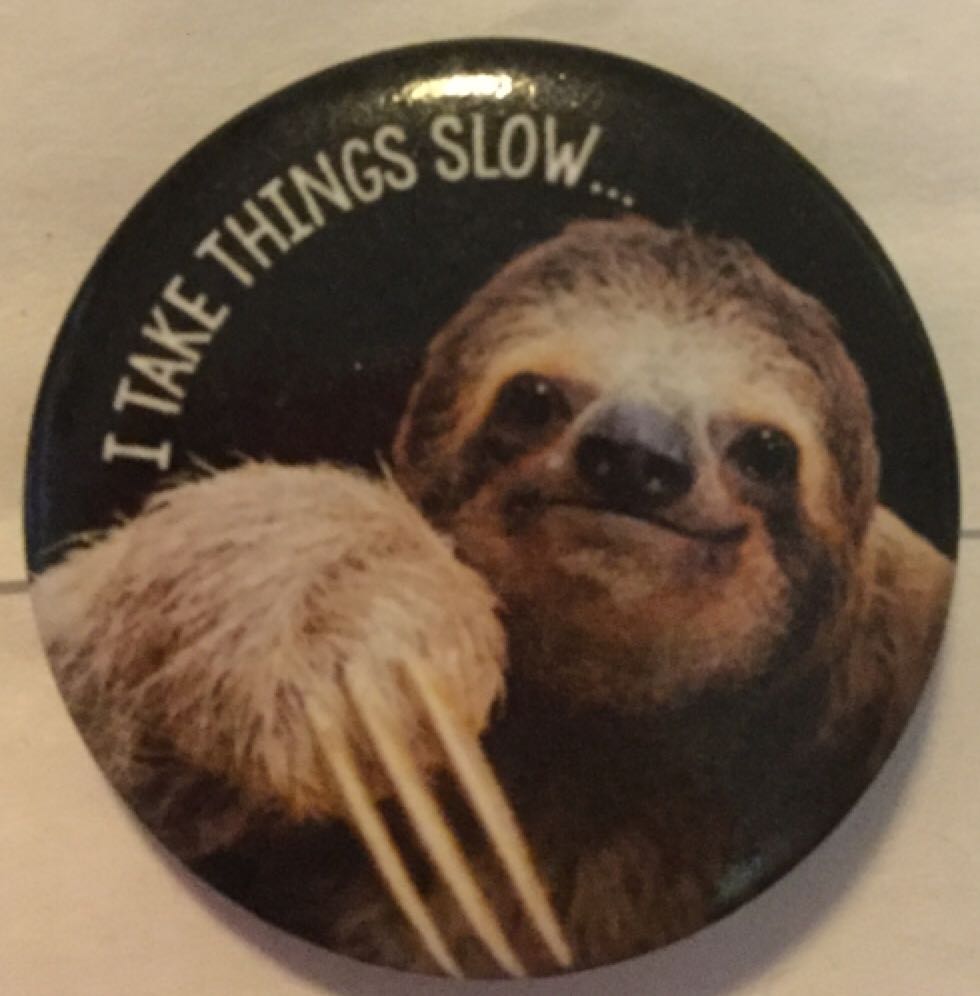I Take Things Slow Sloth  pin collectible - Main Image 1