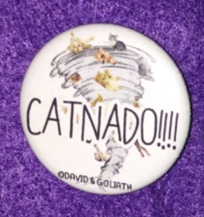 Tweedle Dum Mad T Party