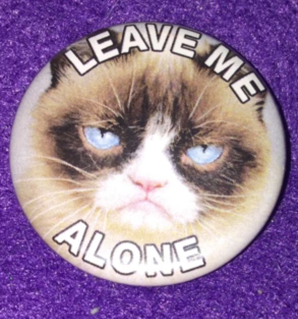 Jessica Patriotic On Shield