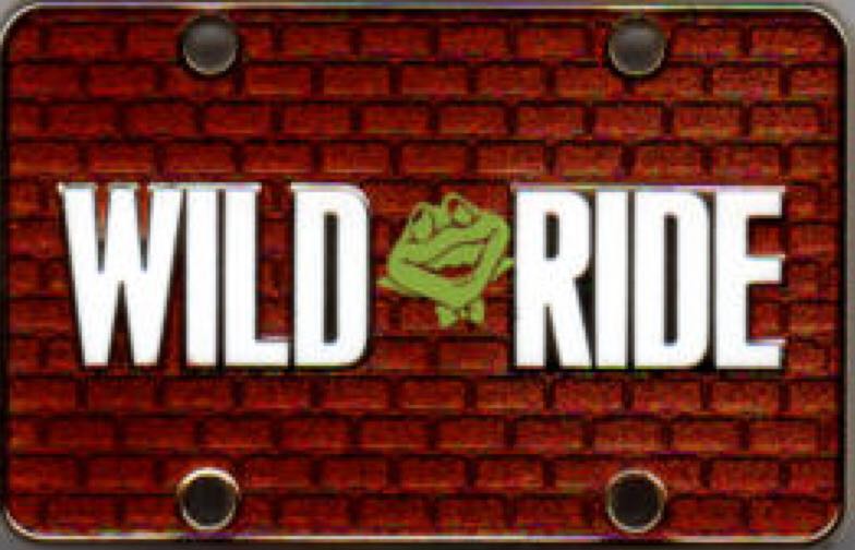 Doorways to Disney - Pirates of the Caribbean