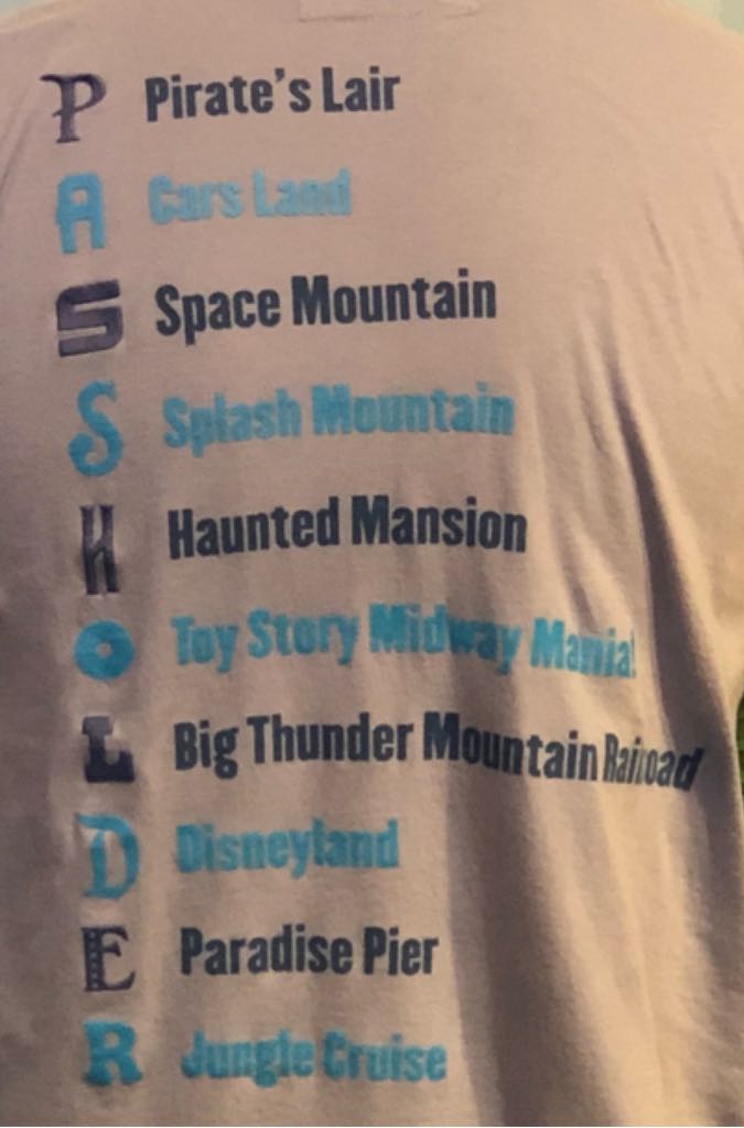 Passholder Pin  pin collectible - Main Image 2